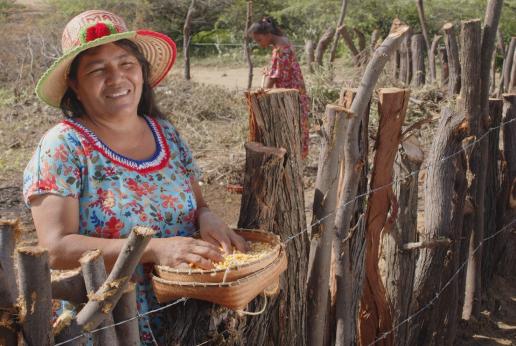 Una mujer indígena sostiene un cuenco lleno de semillas.