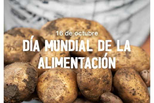 Manos sosteniendo papas.