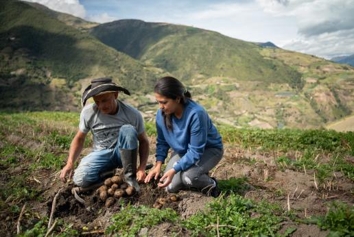 Una mujer y un hombre arrodillados en la tierra cultivando verduras.