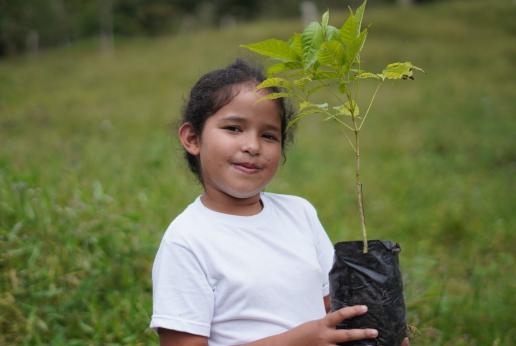 Una niña sostiene una planta.