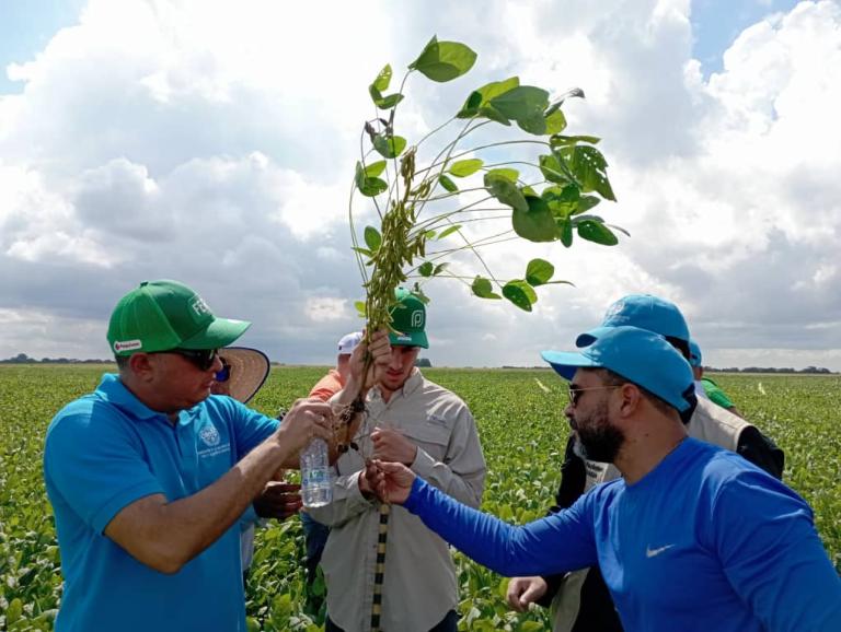 Un grupo de hombres sostiene una planta en un campo.