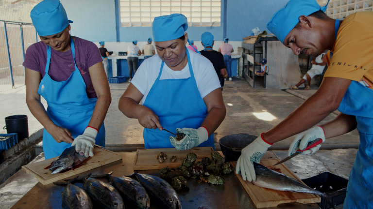 Un grupo de mujeres trabaja el pescado.